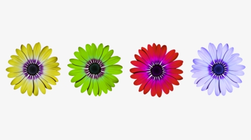 Flower Flowers Daisy Free Photo - Daisy Flower Power Clipart, HD Png Download, Transparent PNG