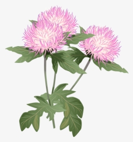 Thistle Flower Clipart, HD Png Download, Transparent PNG