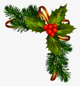 Pine Garland Clipart - American Holly, HD Png Download, Transparent PNG
