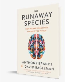 David Eagleman The Runaway Species, HD Png Download, Transparent PNG