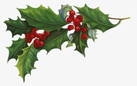 Freetoedit Garlands Christmas Christmastree Christmastime - Holly Transparent Background, HD Png Download, Transparent PNG