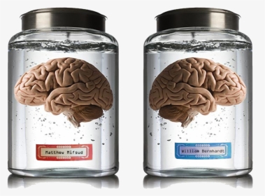 Brain In A Jar, HD Png Download, Transparent PNG
