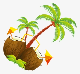Coconut Tree Illustration - Portable Network Graphics, HD Png Download, Transparent PNG