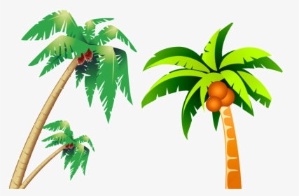 Tropical Coconut Tree Picture - Clip Art Coconut Tree, HD Png Download, Transparent PNG