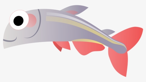 Transparent ปลา, HD Png Download, Transparent PNG