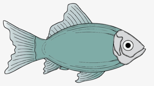 Generic Blue Fish Vector Illustration - Fish Clip Art, HD Png Download, Transparent PNG