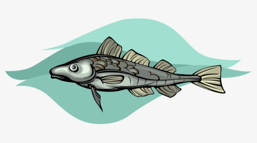 Vector Illustration Of Cod Demersal Marine Fish - Billfish, HD Png Download, Transparent PNG