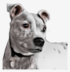 Great Dane , Png Download - American Pit Bull Terrier, Transparent Png, Transparent PNG