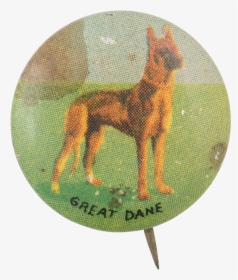 Great Dane Art Button Museum - Old German Shepherd Dog, HD Png Download, Transparent PNG