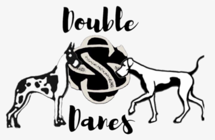 Double S Danes - Ancient Dog Breeds, HD Png Download, Transparent PNG