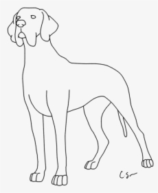 Coloring Pages For Kids And For Adults - Coloring Pictures Of Great Dane, HD Png Download, Transparent PNG