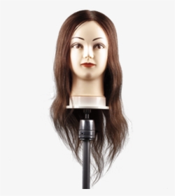 Mannequin Head With 100% Human Hair - Mannequin, HD Png Download, Transparent PNG