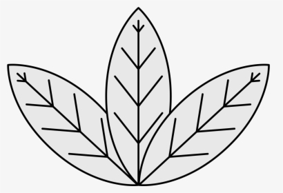 Collection Of High - Tobacco Plant Drawing Easy, HD Png Download, Transparent PNG