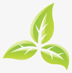 Transparent Tobacco Leaf Png - Tobacco Plant Tobacco Symbol, Png Download, Transparent PNG
