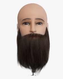 Dateline Professional Mannequin Bald Head / Bearded - Wig, HD Png Download, Transparent PNG