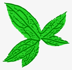 Green Leaf - Green Leaf Clip Art, HD Png Download, Transparent PNG