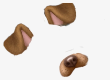 Transparent Dog Snapchat Filter Png - Cat Grabs Treat, Png Download, Transparent PNG