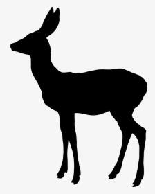 White-tailed Deer Reindeer Elk Moose - Christmas Girl Silhouette, HD Png Download, Transparent PNG