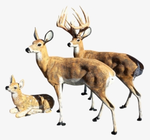 Deer Statues Outdoor Decoration For Your Yard For Sale - Deer Statues For Yard, HD Png Download, Transparent PNG