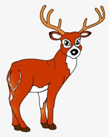 White Tailed Deer - Clipart Elk, HD Png Download, Transparent PNG
