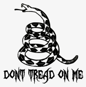 Don T Tread On Me Snake Bumper Sticker - Dont Tread On Us, HD Png Download, Transparent PNG