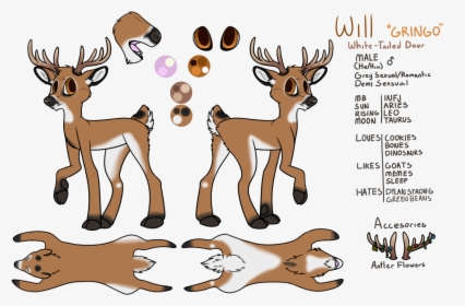 Transparent Whitetail Deer Clipart - Cartoon, HD Png Download, Transparent PNG