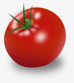 Transparent Tomatoe Png - Tomato Clipart, Png Download, Transparent PNG