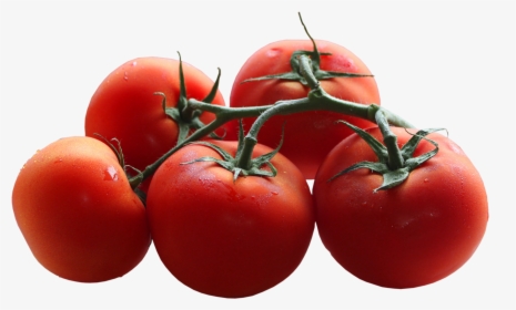 Tomatoes Branch Png Picture - Tomato Png Transparent Background, Png Download, Transparent PNG