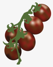 Transparent Tomatoe Clipart - Illustration, HD Png Download, Transparent PNG