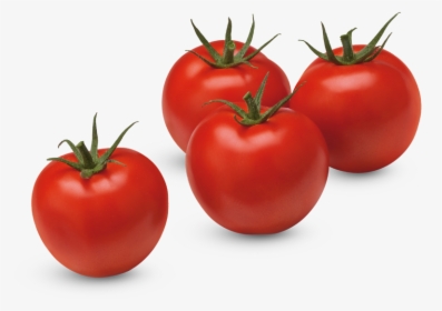 Tomato Round, HD Png Download, Transparent PNG