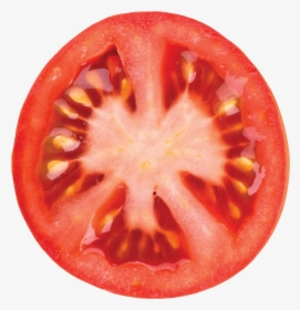 Tomato Slice Transparent Background, HD Png Download, Transparent PNG