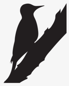Black White And Red Woodpeckers, HD Png Download, Transparent PNG