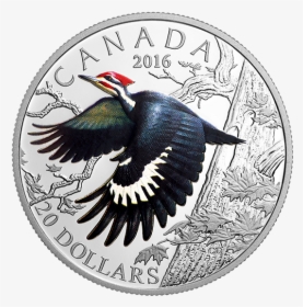 Pileated Woodpecker Coin, HD Png Download, Transparent PNG