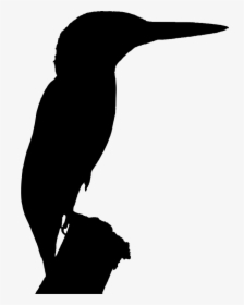 Clipart - Kingfisher Bird Silhouette, HD Png Download, Transparent PNG