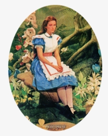 Alice's Adventure In Wonderland 1972 Vhs, HD Png Download, Transparent PNG