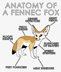 Fennec Fox Png, Transparent Png, Transparent PNG