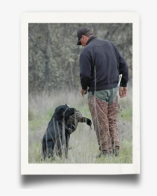Hunt Test Requirements - German Shepherd Dog, HD Png Download, Transparent PNG