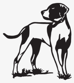 English Setter Pointer Hunting Dog Bird Dog - Bird Dog Drawing, HD Png Download, Transparent PNG