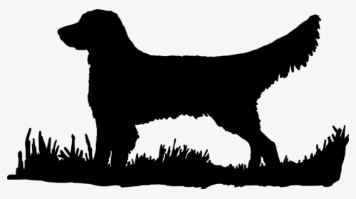 Drawing Laboratory Bird Dog - Golden Retriever Silhouette Transparent, HD Png Download, Transparent PNG