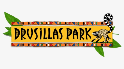 Drusillas Zoo Park, HD Png Download, Transparent PNG