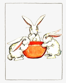 Peter Rabbit Albert 59 - Rabbit, HD Png Download, Transparent PNG