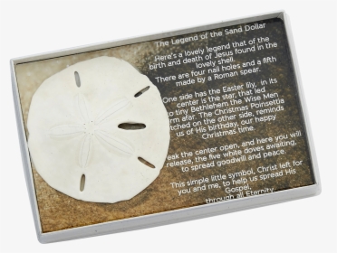 Sand Dollar With Legend-boxed - Sand Dollar, HD Png Download, Transparent PNG
