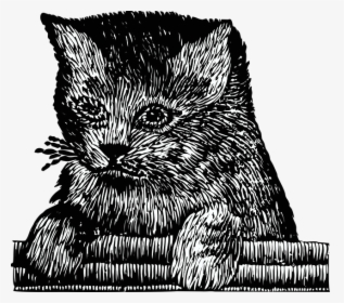 Kitten, Cat, Pet, Cute, Embroidery, Feline - Illustration, HD Png Download, Transparent PNG