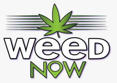 Weed Now, HD Png Download, Transparent PNG