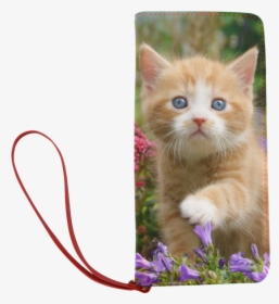 Cute Ginger Kitten Funny Baby Pet Animal In A Garden - Ginger Cute Kitten, HD Png Download, Transparent PNG