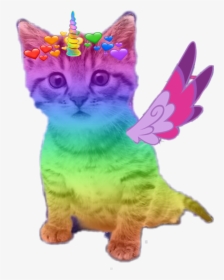 #kitty #rainbow #cute #kitten #horn #wings #adorable - Rainbow Cat Outer Space, HD Png Download, Transparent PNG