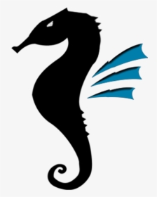 Northern Seahorse, HD Png Download, Transparent PNG