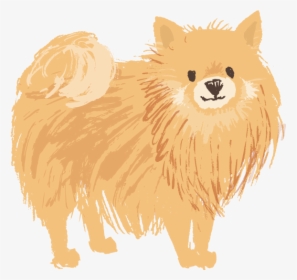 Pomeranian , Png Download - Dog Dog Pomeranian Transparent Background, Png Download, Transparent PNG