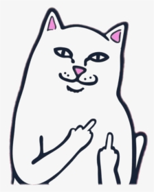 Middle Finger Cat With Free Transparent Clipart Images - Rip And Dip Stickers, HD Png Download, Transparent PNG