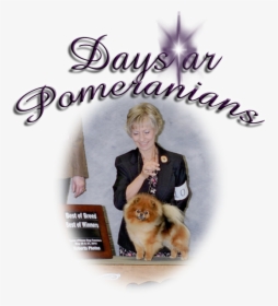 Pomeranian, HD Png Download, Transparent PNG